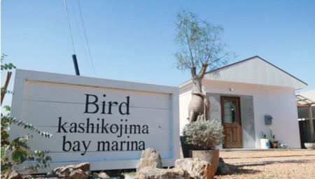 Bird kashikojima bay marina