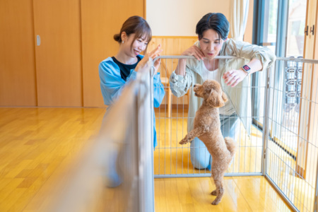 SHELTER.いすみwith dogs 